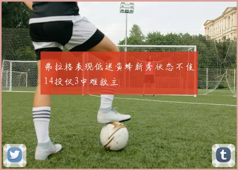 弗拉格表现低迷黄蜂新秀状态不佳14投仅3中难救主