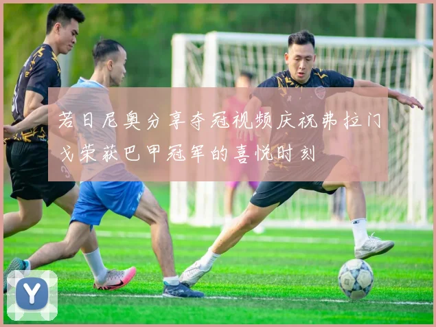 若日尼奥分享夺冠视频庆祝弗拉门戈荣获巴甲冠军的喜悦时刻