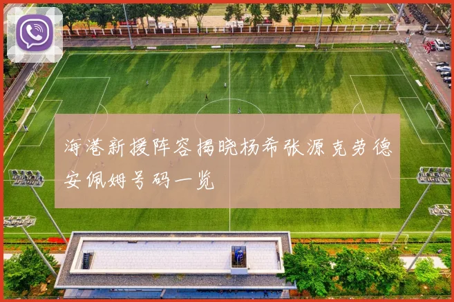 海港新援阵容揭晓杨希张源克劳德安佩姆号码一览