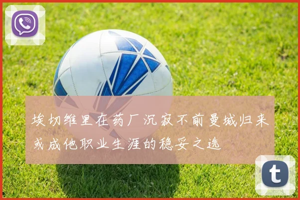 埃切维里在药厂沉寂不前曼城归来或成他职业生涯的稳妥之选